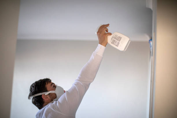 Best Emergency Mold Removal  in Sound Beach, NY