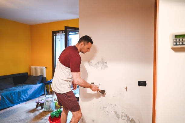 Best Water Damage Restoration  in Sound Beach, NY